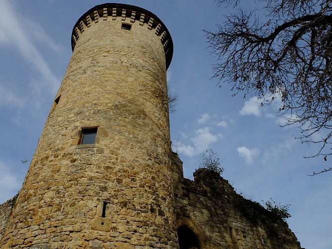 Château de La Rouquette