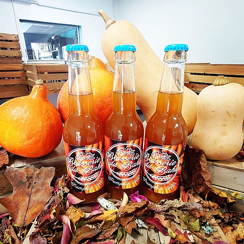 312970564_139437892175338_2842199902779624443_n