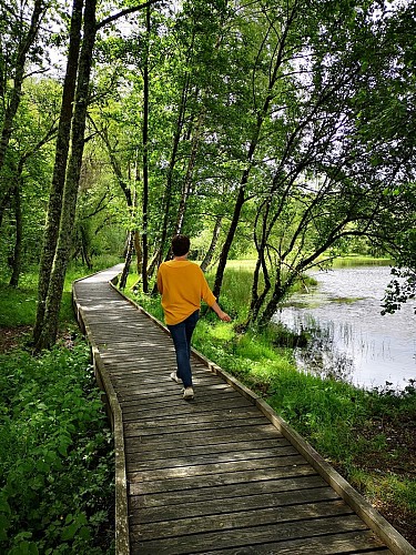 Plan d'eau de l'Enclose_4