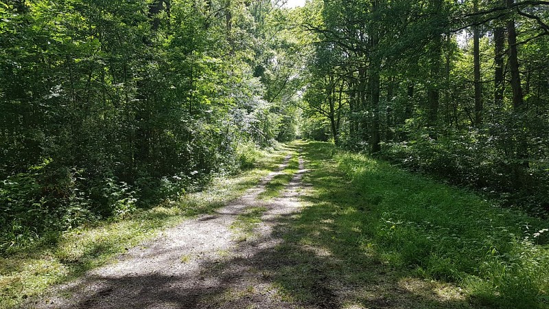 Schutzwürdiges Naturgebiet : Les Bordes Chalonges