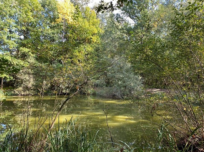 Schutzwürdiges Naturgebiet : Les Bordes Chalonges