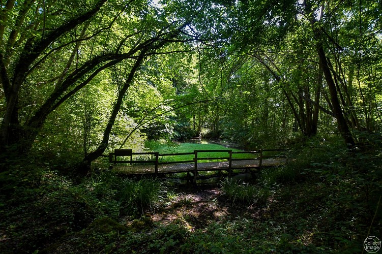 Sensitive Natural Area : Les Bordes Chalonges