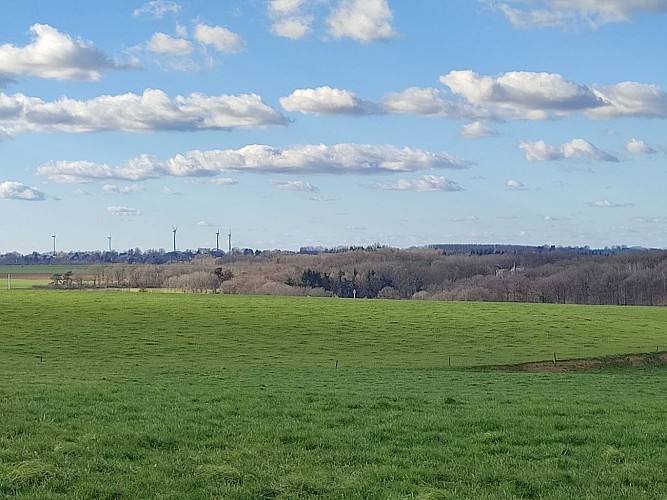 Chemin de terre paysage Bossière Amandine Couvreur (5)