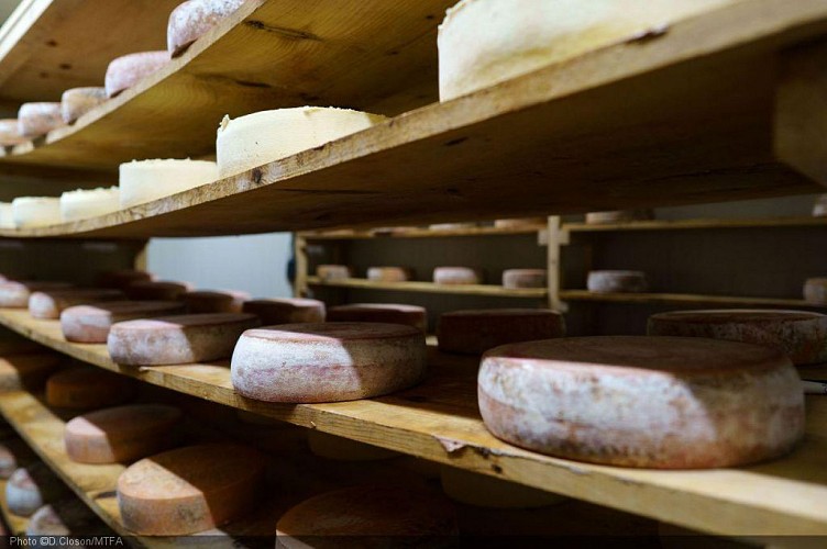 Fromagerie d'Ambly - Les saveurs du pays de Marche