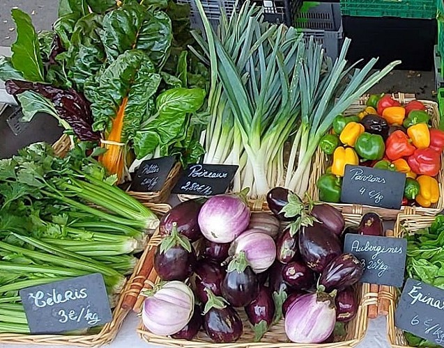 biosoleil-aubergines