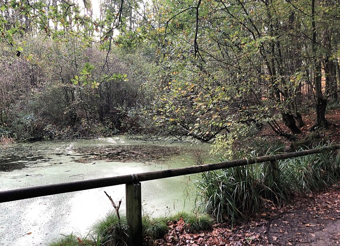 Kappietelvijver (étang)