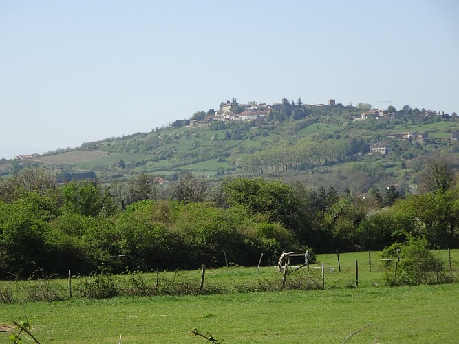 Point de vue sur Montagny