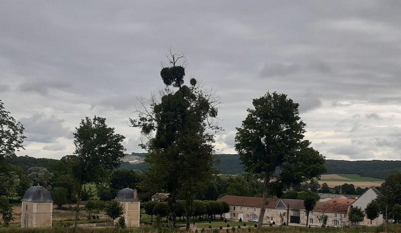Château de Malpierre