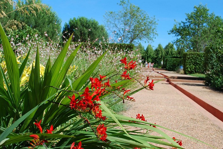 The Gardens of Colette and her maze