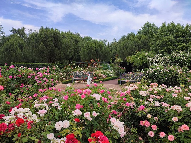 The Gardens of Colette and her maze