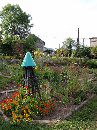 Cité des Insectes : le jardin