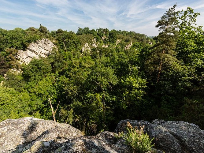 Plateau du Mont-Joly
