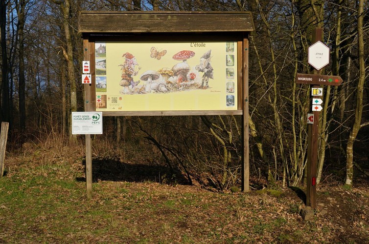 NG16 Promenade du Coucou - Masbourg/Mormont - Gele rechthoek
