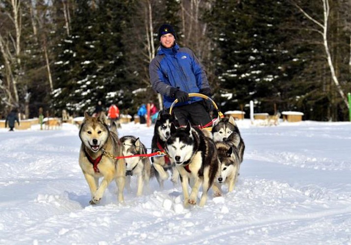 Balade en chiens de traîneau au Fjord-du-Saguenay - Au départ de Sacré-Cœur - Québec