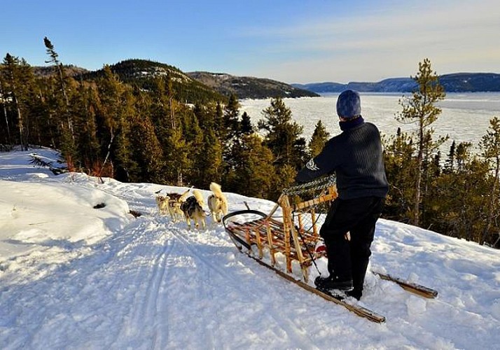 Balade en chiens de traîneau au Fjord-du-Saguenay - Au départ de Sacré-Cœur - Québec