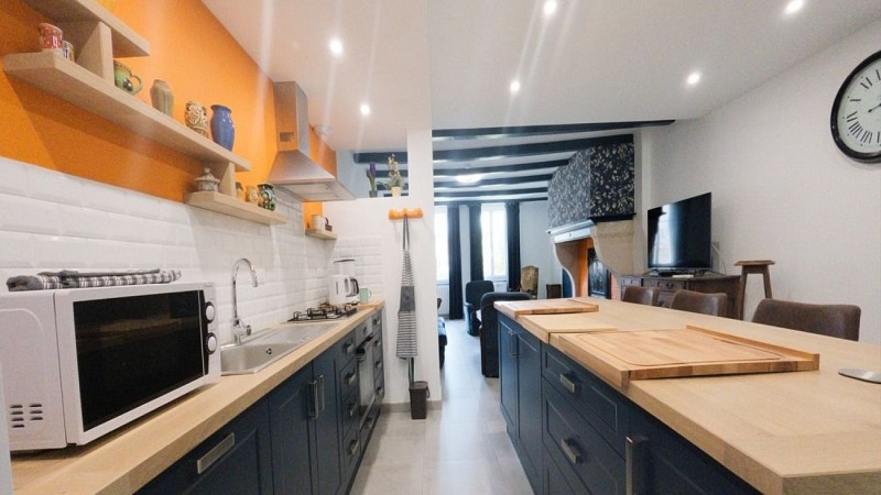 Meublé le chat Moustic