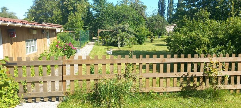 Meublé le chat Moustic