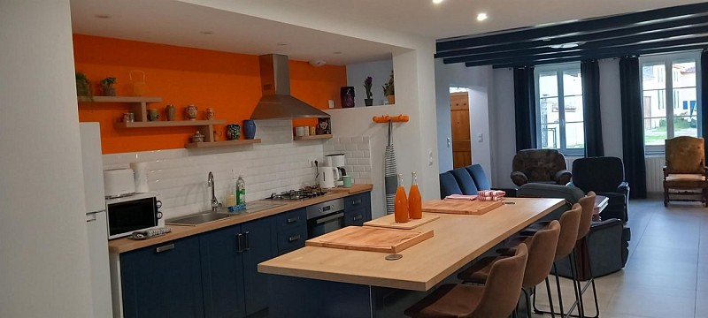 Meublé le chat Moustic