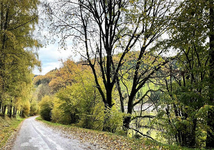 AU CORON D'OUTREMONT - Paysage