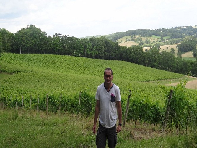 ccccp_deg_Labat_vignes