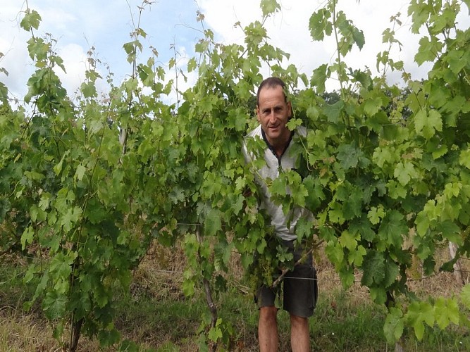 ccccp_deg_Labat_producteur