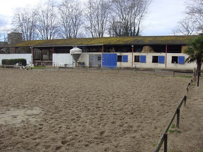 centre equestre - le manège