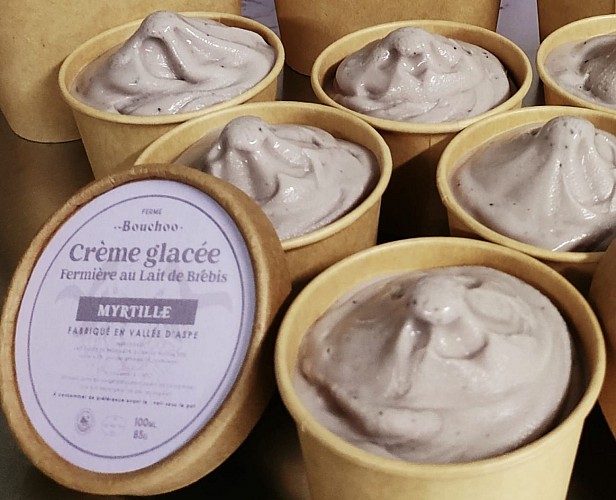 Glaces Gaec Bouchoo