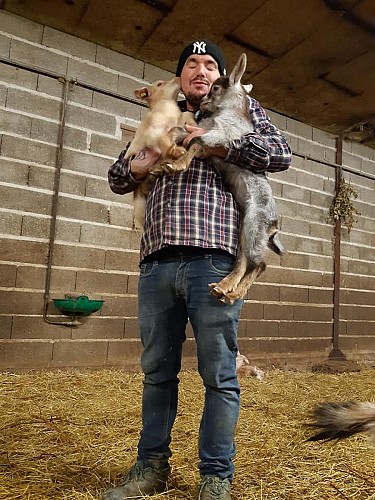 Ferme de la petite brosse 10