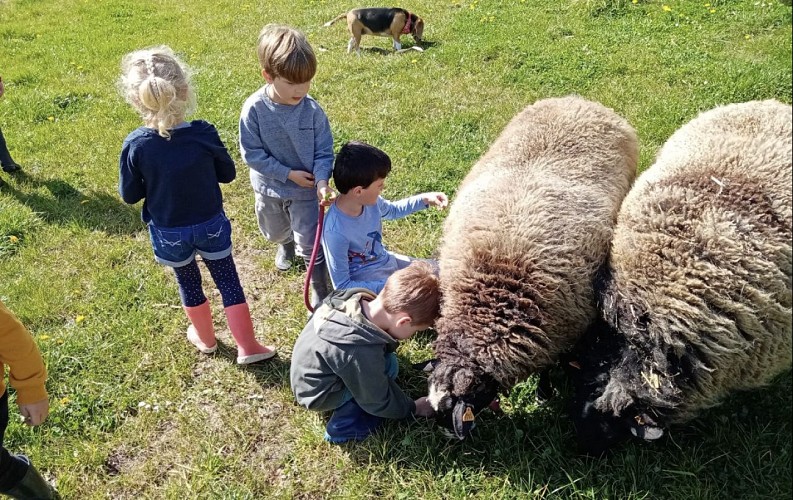 Capture d'écran 2023-11-23 141559