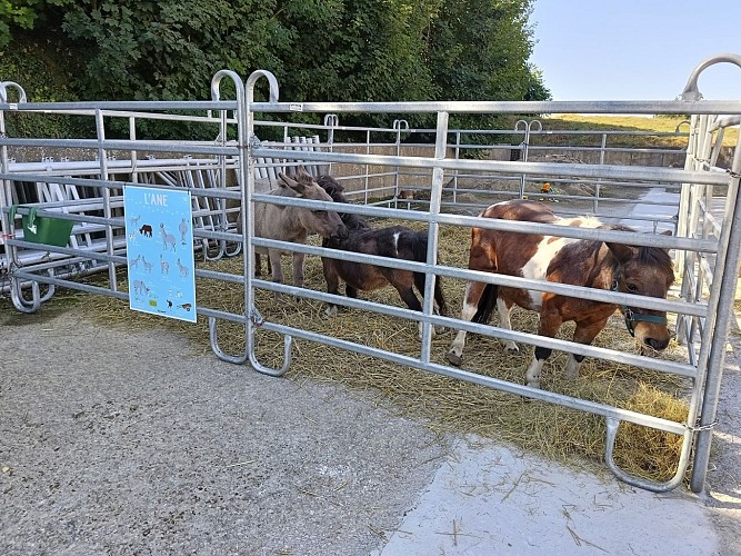 542683915_1103301538604332_627561842873459035_n