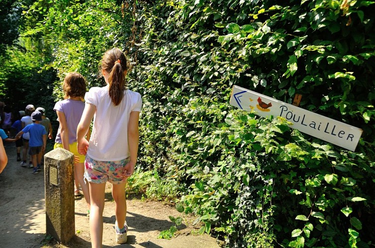Ferme de Bousval - poulallier