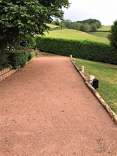 Terrain de pétanque