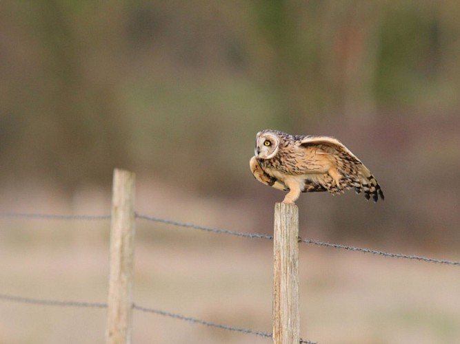 Design sans titre - 5