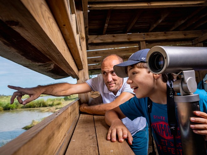 TERRES D'OISEAUX 800X600