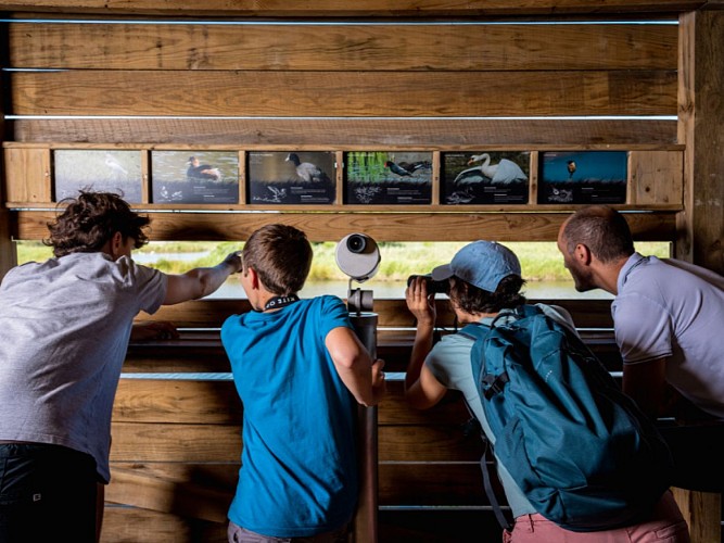 TERRES D'OISEAUX 800X600