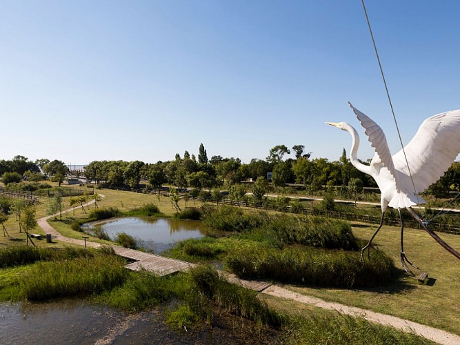 TERRES D'OISEAUX 800X600