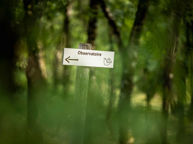 TERRES D'OISEAUX 800X600