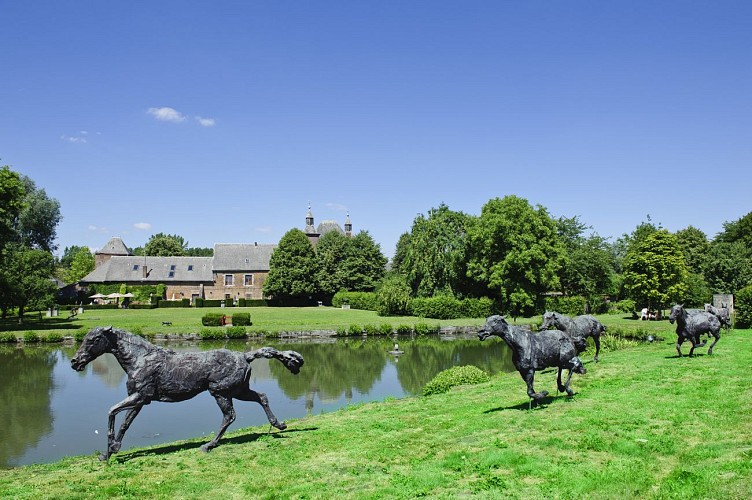 Château de Petit-Leez chevaux