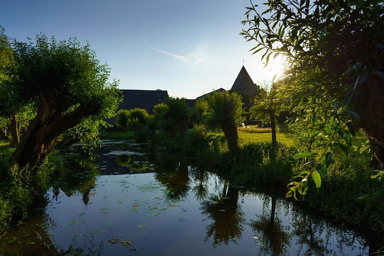 Château de Petit-Leez