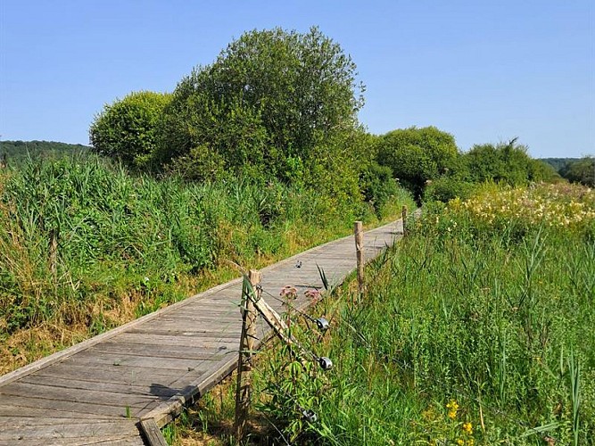 Marais de Lay St Rémy et Pagny-sur-Meuse