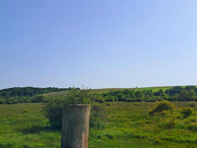 Marais de Lay St Rémy et Pagny-sur-Meuse
