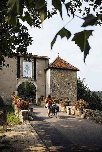 La boucle de la Moselle