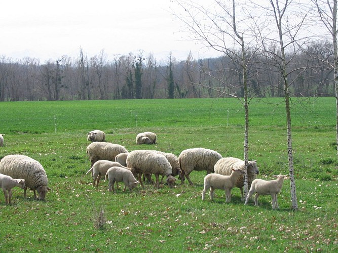 FERME MONTPLAISIR