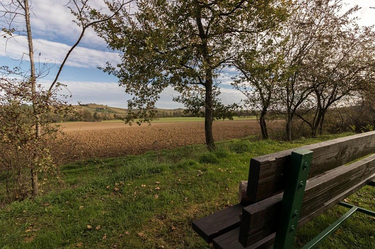GÎTE - LA BARGUÈRE