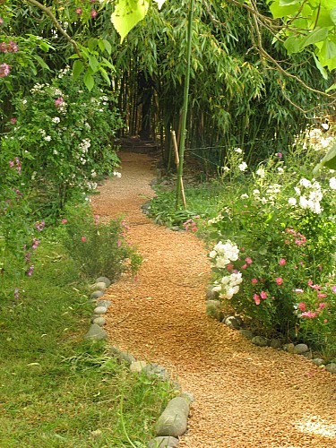 Roses & Arc en Ciel (5)