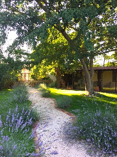 Roses & Arc en Ciel (2)