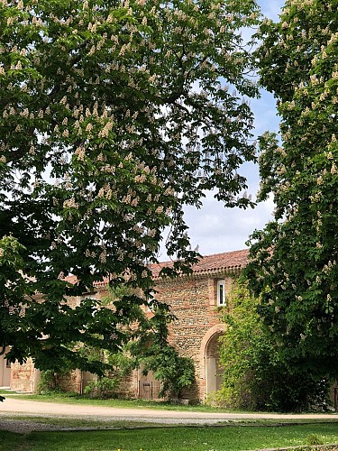 RESTAURANT LA TERRASSE