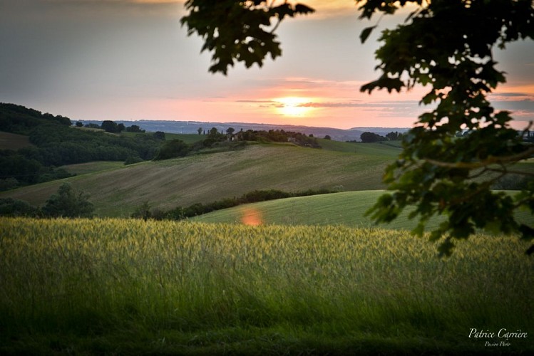 DOMAINE LAGRANGE