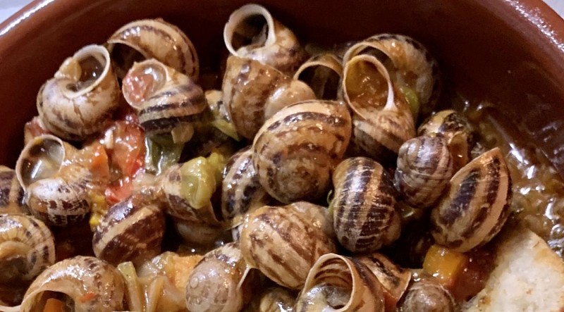 La Brasserie du Centre - Carbonne