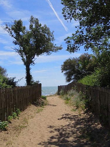 Plage de la Ragnette